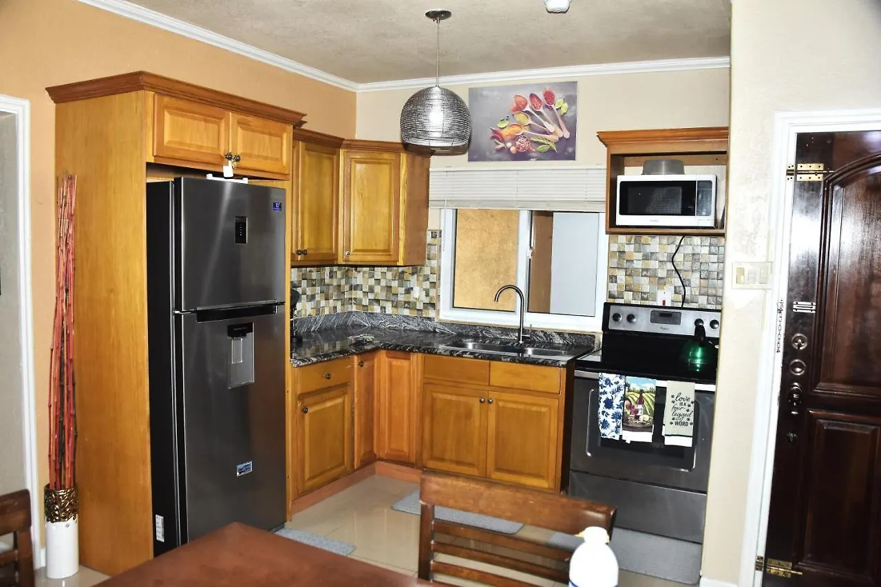 Deluxe Presidential Suite Kingston Apartment